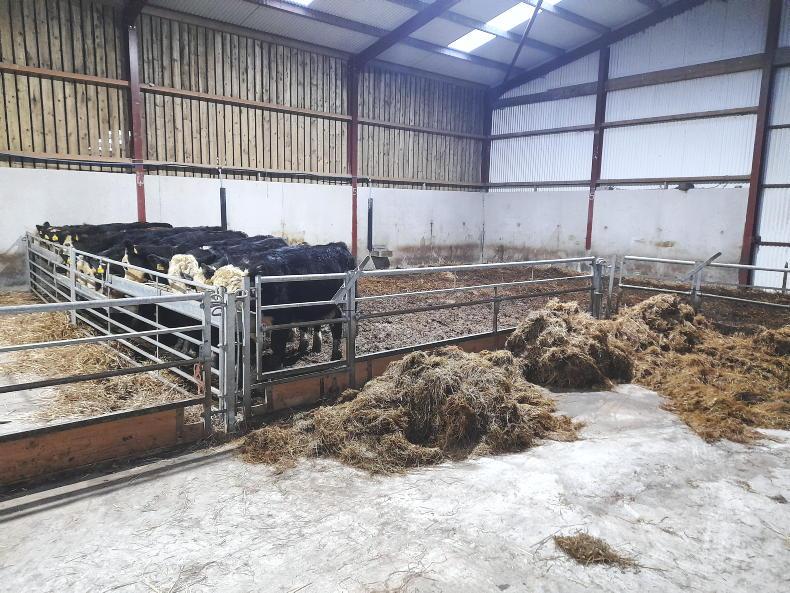 Complication added to winter feeding plan