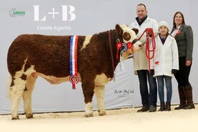 Ranfurly rule the roost at Four Breeds Calf Show