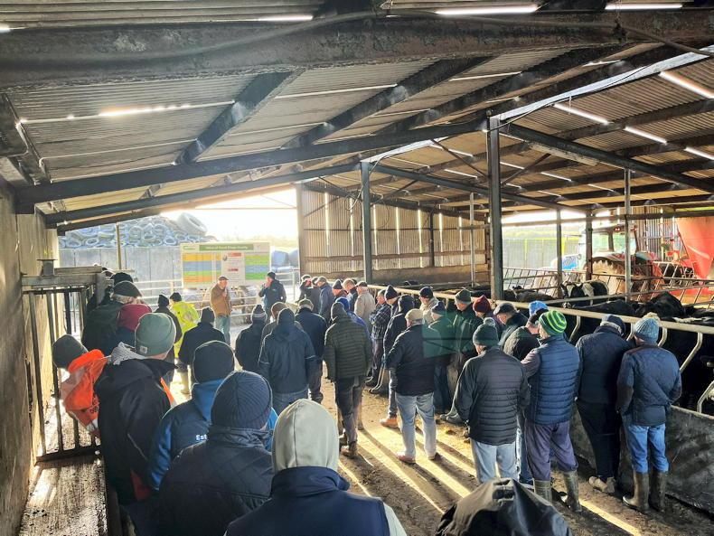 Climate smart solutions on west Limerick beef farm