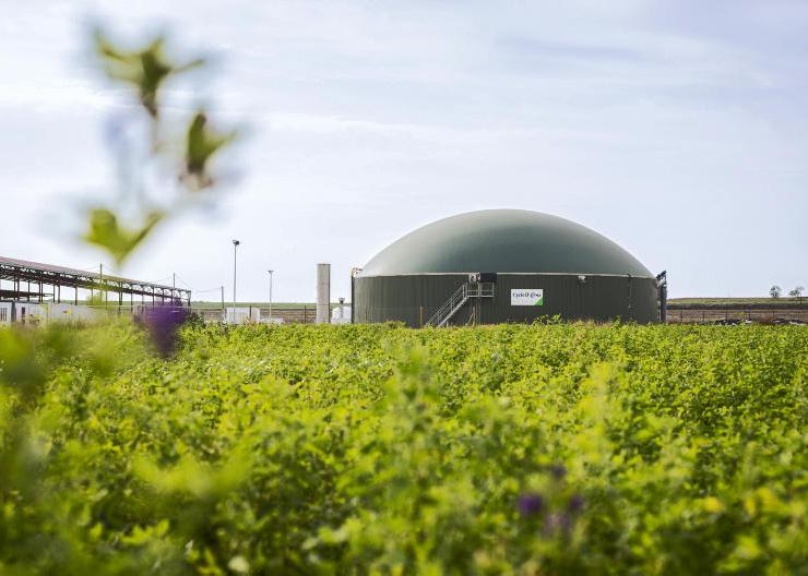 New AD plant planned for Ballinasloe 