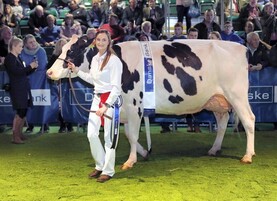 ROI exhibitors excluded from RUAS Winter Fair