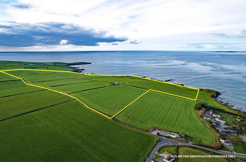 Land prices rise to average €13,045/ac