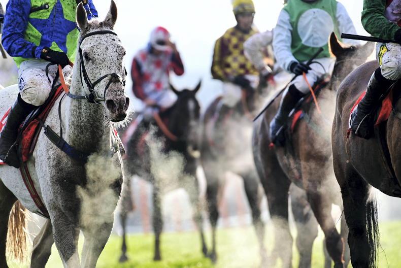 Advertorial: find your own gift horse at Leopardstown this Christmas