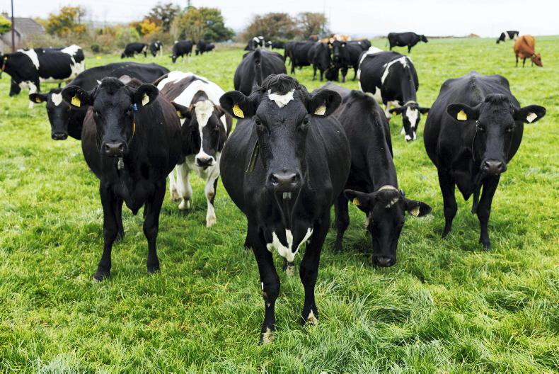 Irish farm incomes driven by the laws of supply and demand 