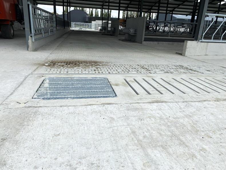 Accountants ‘flat out’ dealing with succession