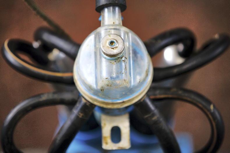 Milk margins expected to fall below 2024 levels