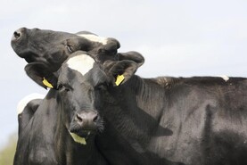 Projections for farm incomes for 2026 are 'concerning' – IFA