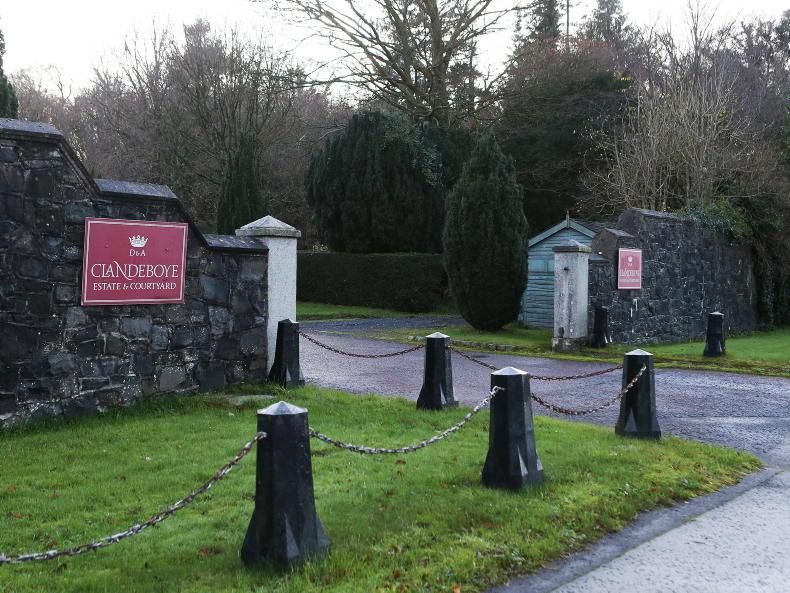 DAERA on the hunt for more Bluetongue cases