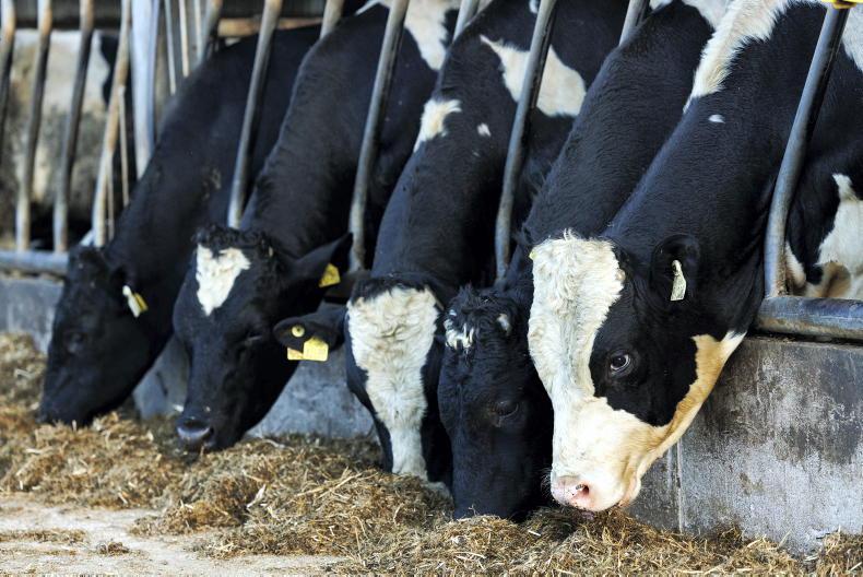 Farms urged to opt in to beef scheme