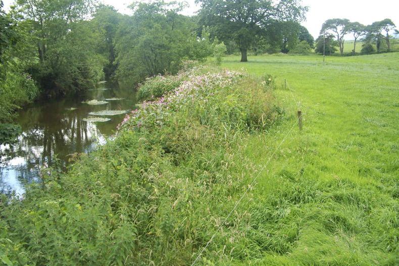 Derogation conditions: new buffer zones and cut to fertiliser rates