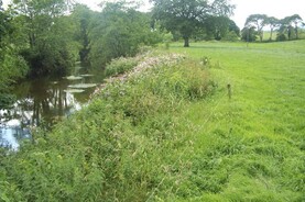 Derogation conditions: new buffer zones and cut to fertiliser rates