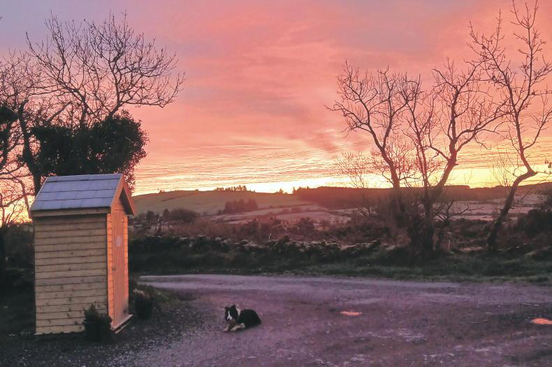 Country vibes... a few of our favourite things