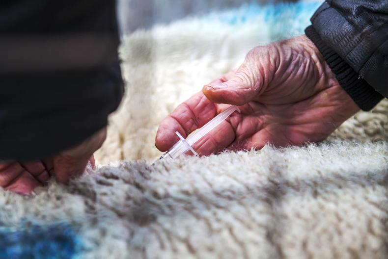 Bluetongue vaccination – an overview of vaccines on the licensed in NI