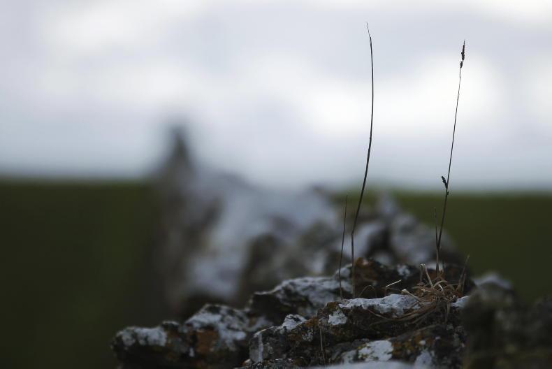 November 2025 fifth wettest in 85 years