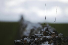 November 2025 fifth wettest in 85 years