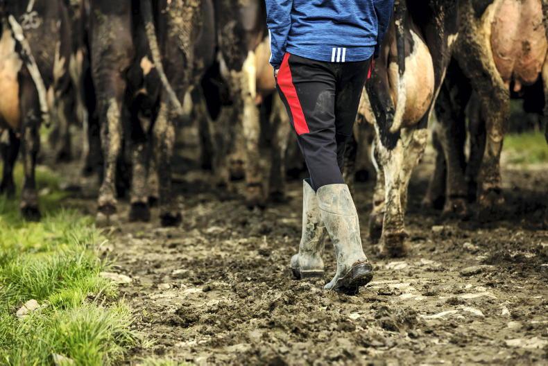 Soft succession skills should be taught in the Green Cert 