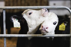 Agri jobs: farm assistant sought for Cork dairy farm from January