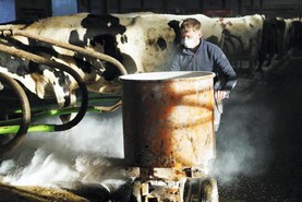 In Pictures: winter shows, dairy work and sprouts