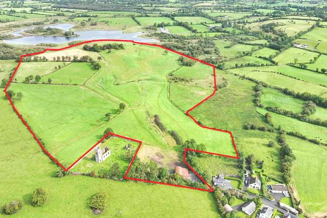 Strong appetite for Westmeath farms at auction