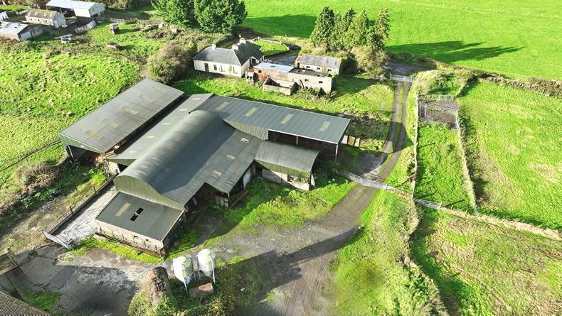 Ex-dairy farm for auction guided at €1.3m in Co Westmeath             