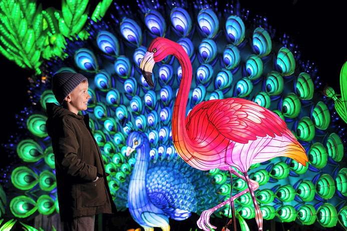 Make the most of Twixmas with our top five events