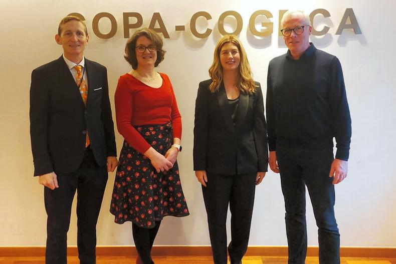 Mixed political messages helping no-one – IFA