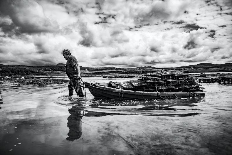 Connemara Oysters keep Galway traditions alive  