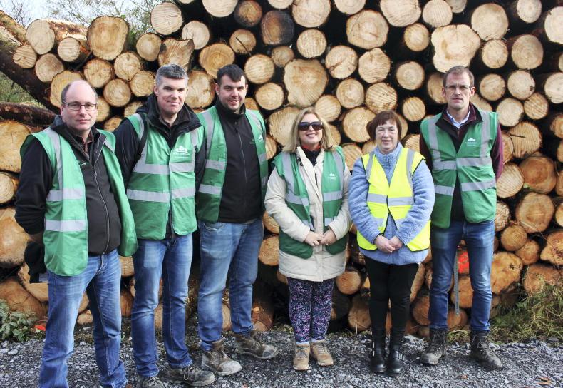 Meeting huge windblow challenges in Sligo