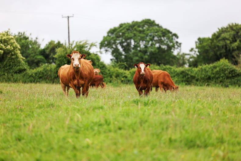 Organic scheme payments on the way