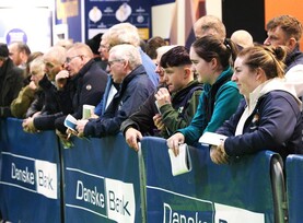 Cattle classes cancelled at Royal Ulster Winter Fair due to bluetongue