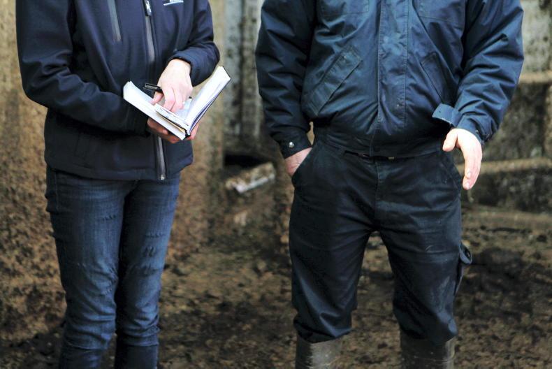 HSA farm health and wellbeing inspection campaign taking place this week