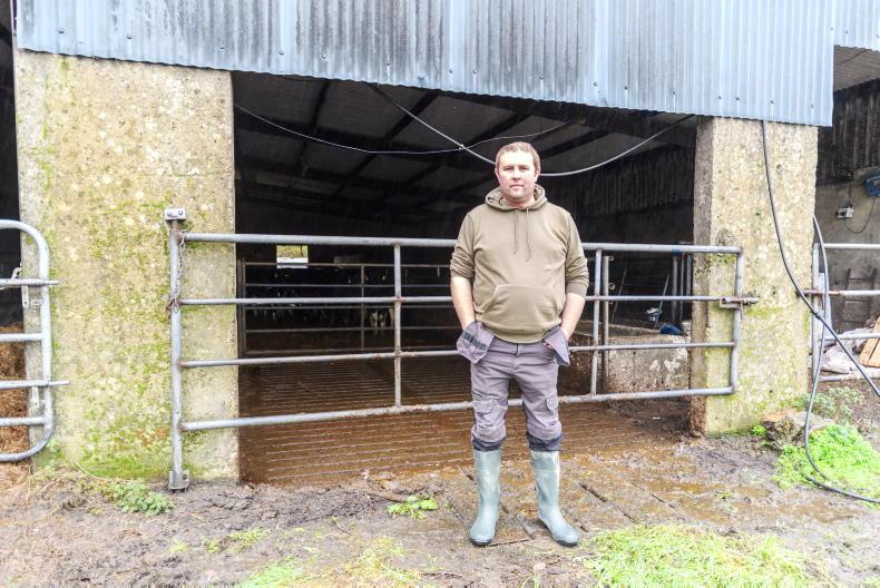 18 stolen cattle recovered in Cork