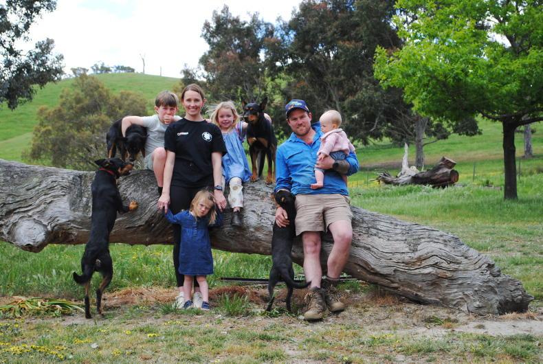 Wexford farmer rises to the top of the Australian working dog trial world 