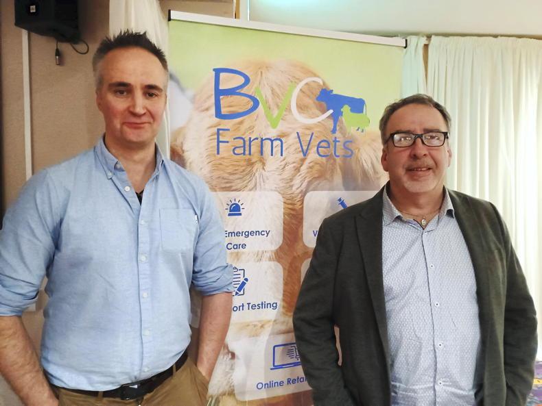 BTV will re-emerge in the spring, claims vet