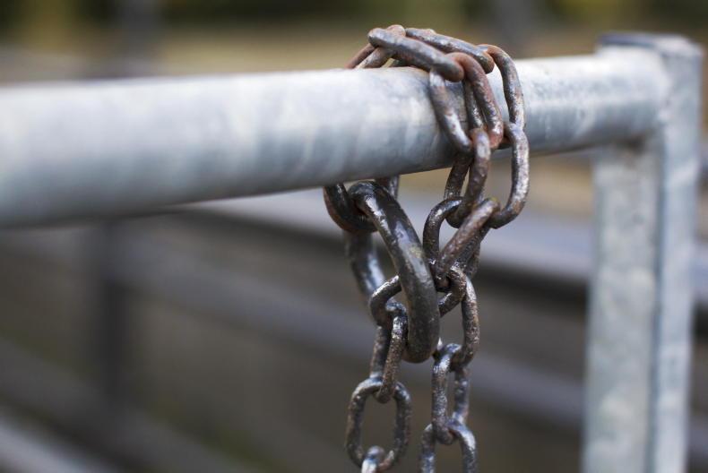 Man arrested in relation to stolen cattle in Cork