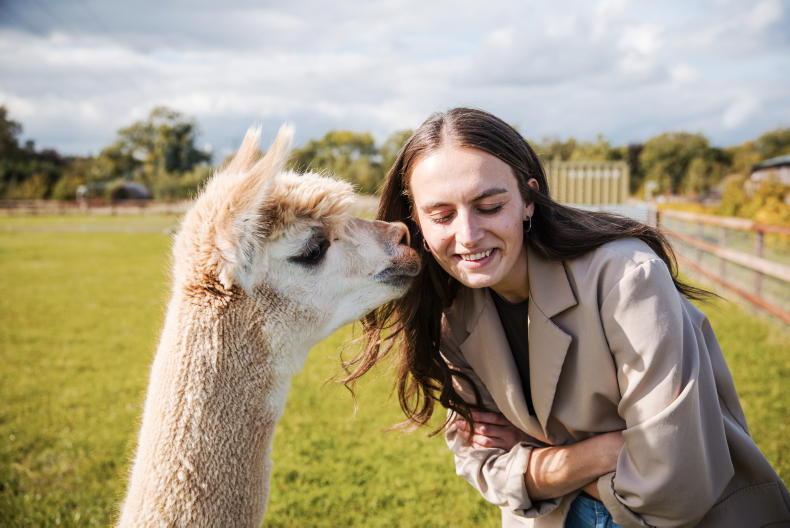 Hidden Acres: where tradition meets forward thinking