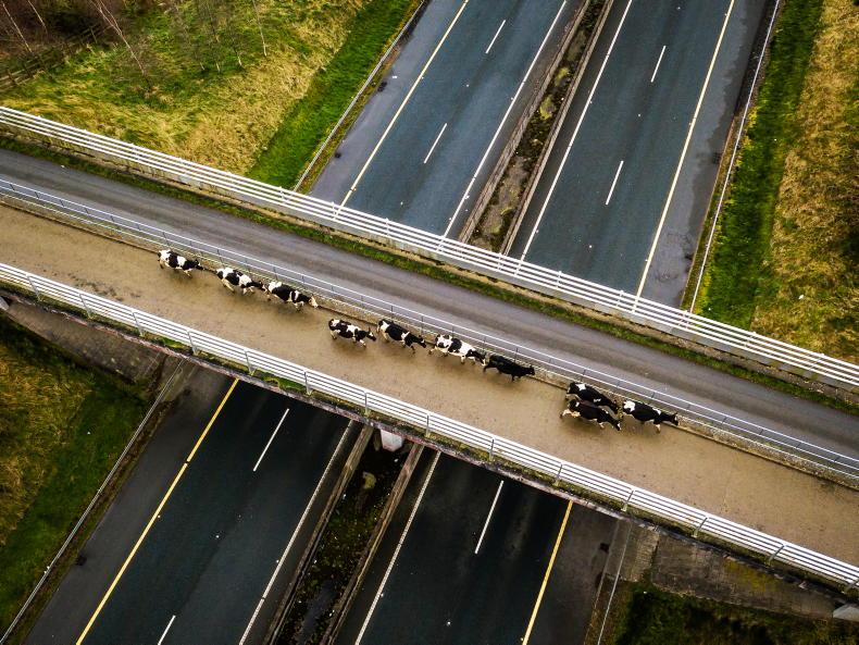 Multiple bidders for Rockwell Farm