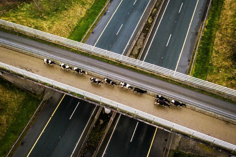 Multiple bidders for Rockwell Farm