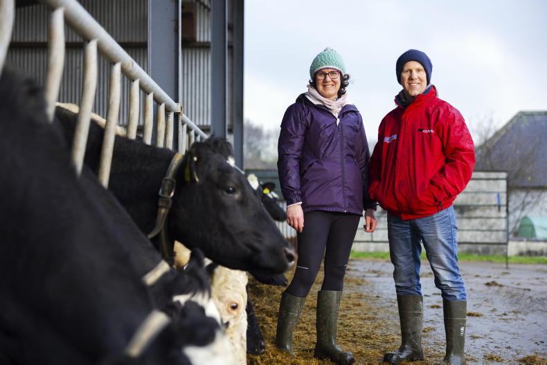 My Farming Week: Cheryl Poole, Craanford, Gorey, Co Wexford