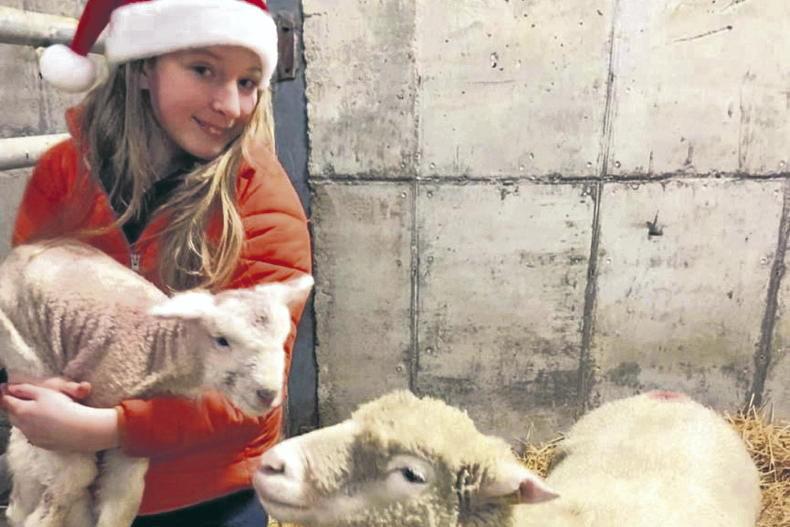 Country vibes... a few of our favourite things 