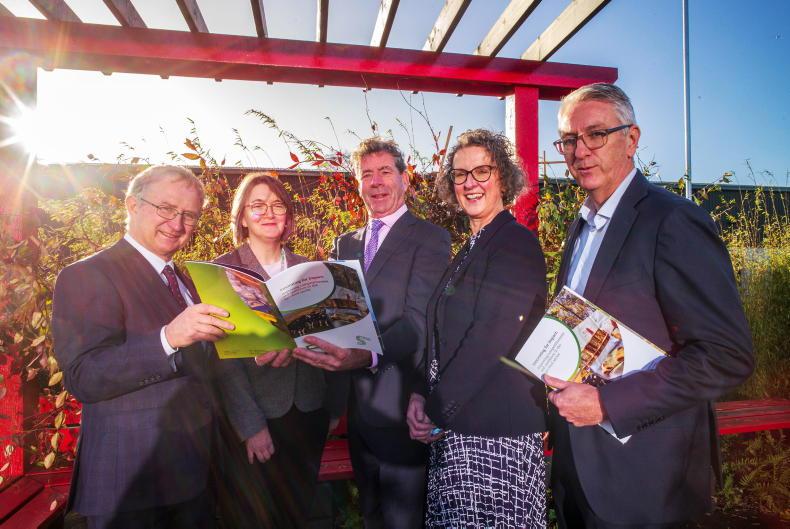 Editorial: Teagasc’s budget headache could hit advisory 