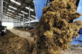 Muir launches new innovation scheme