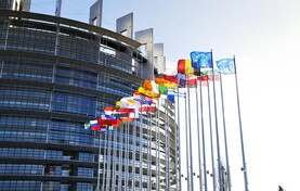 MEPs seek to beef-up Mercosur safeguards 