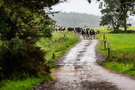 Derogation reprieve until 2028