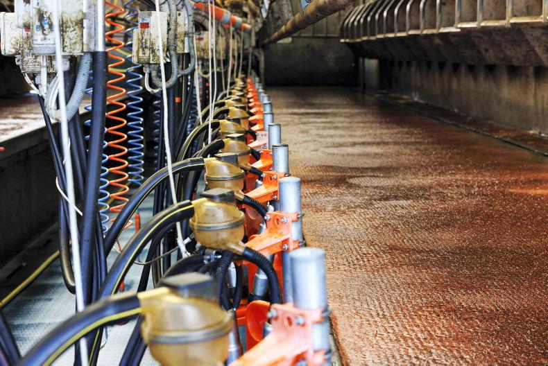 Lakeland Dairies cut milk prices another 3.81c/l