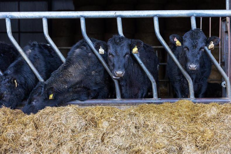 News in-brief from Northern Ireland