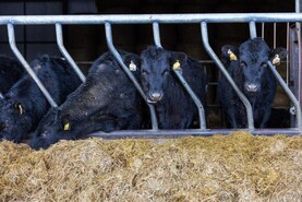 News in-brief from Northern Ireland