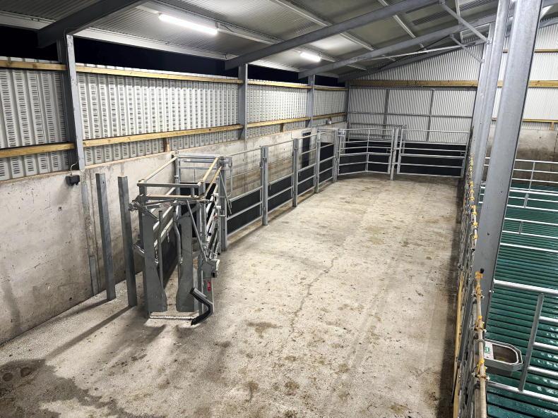 Rolls Royce handling setup for Mayo drystock farmer