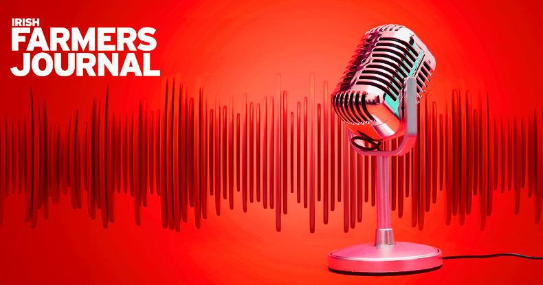 From 25 cows in Austria to managing 1,000 cows in Germany