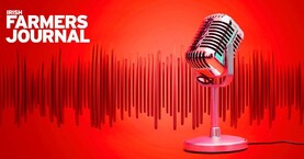 From 25 cows in Austria to managing 1,000 cows in Germany